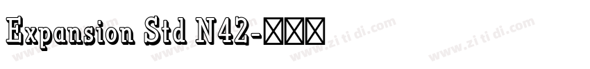 Expansion Std N42字体转换